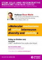 20 octobre: Stem Cells Seminars "Molecular mechanisms of cortical interneuron diversity and plasticity"