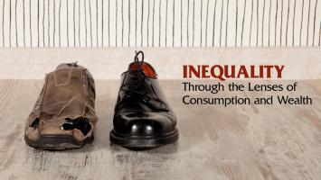 Inequality through the Lenses of Consumption and Wealth