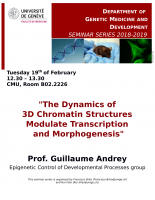 "The Dynamics of 3D Chromatin Structures Modulate Transcription and Morphogenesis"