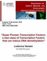 Super Pioneer Transcription Factors: a new class of Transcription Factors that can induce DNA demethylation