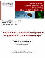 Identification of adrenal and gonadal progenitors in the mouse embryo