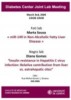 Diabetes Centre Joint Lab-Meeting: Foti and Negro labs