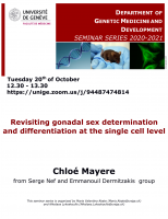 Revisiting gonadal sex determination and differentiation at the single cell level