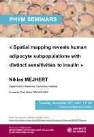Spatial mapping reveals human adipocyte subpopulations with distinct sensitivities to insulin 