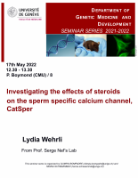 GEDEV Seminar: Investigating the effects of steroids on the sperm specific calcium channel, CatSper