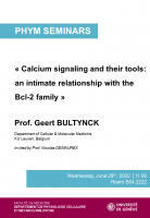 Calcium signaling and their tools: an intimate relationship with the Bcl-2 family