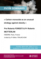 Carbon monoxide as an unusual strategy against obesity