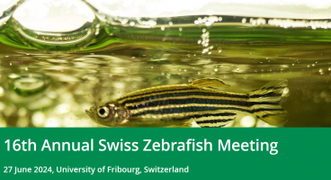 16th Annual Swiss Zebrafish Meeting
