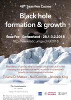 Black hole formation and growth