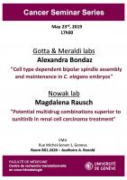 Cancer Center Seminar: Nowak-Sliwinska and Gotta/Meraldi labs
