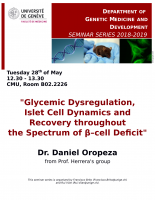 "Glycemic Dysregulation, Islet Cell Dynamics and Recovery throughout the Spectrum of β–cell Deficit"