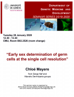 Early sex determination of germ cells at the single cell resolution