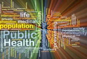 REPORTE! - 30 ans du MAS en Santé publique − Perspectives de carrière en santé publique 