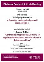 DC Joint Lab Meeting: Dibner and Wehrle-Haller labs