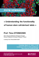 Understanding the functionality of human stem cell-derived islets 