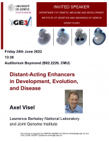 Distant-Acting Enhancers in Development, Evolution, and Disease