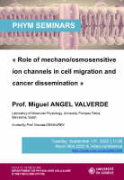 Role of mechano/osmosensitive ion channels in cell migration and cancer dissemination