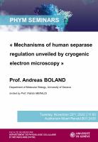 Mechanisms of human separase regulation unveiled by cryogenic electron microscopy 
