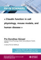 Claudin function in cell physiology, mouse models, and human disease 