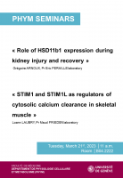 Seminar from the Department of cell physiology and metabolism PHYM