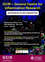 GCIR seminar: Microbiota & Inflammation