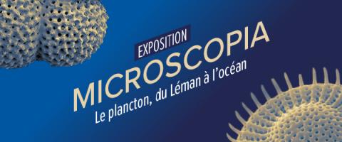 MICROSCOPIA – Le plancton, du Léman à l’océan