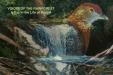 «Voices of the Rainforest. A Day in the Life of Bosavi» 