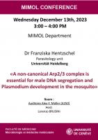 «A non-canonical Arp2/3 complex is essential for male DNA segregation and Plasmodium development in the mosquito»