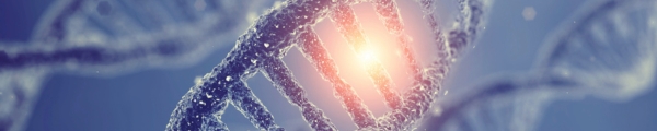 Soigner par les gènes, de la recherche au traitement 