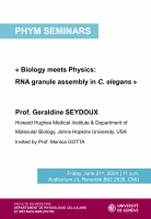 Biology meets Physics: RNA granule assembly in C. elegans