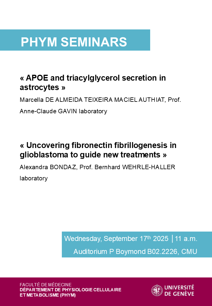 "APOE and triacylglycerol secretion in astrocytes" & "Uncovering fibronectin fibrillogenesis in glioblastoma to guide new treatments"