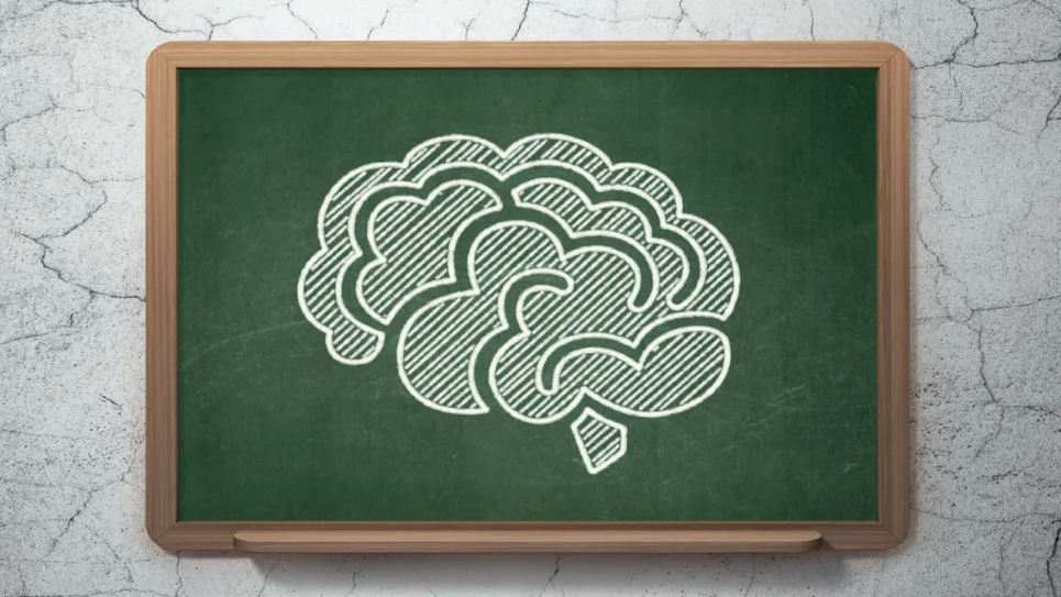 NEUCLI Talks: "Do seizures damage the brain: epilepsy and neurodegeneration"