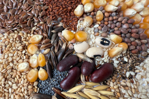 Petites graines, grands enjeux!