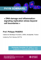 "DNA damage and inflammation: signaling replication stress beyond cell boundaries"