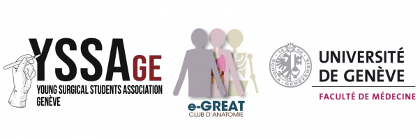 L'anisme ou comment notre comportement aux toilettes raconte tout de notre société