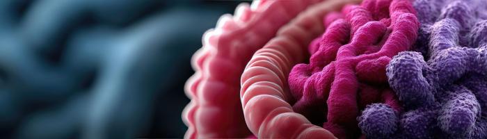 Oncologie gastro-intestinale : le meilleur de l’ASCO-GI 2026 et Tackling challenging cases in GI cancer care