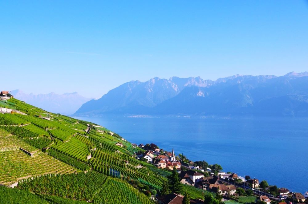 20e Journée romande de radio-oncologie