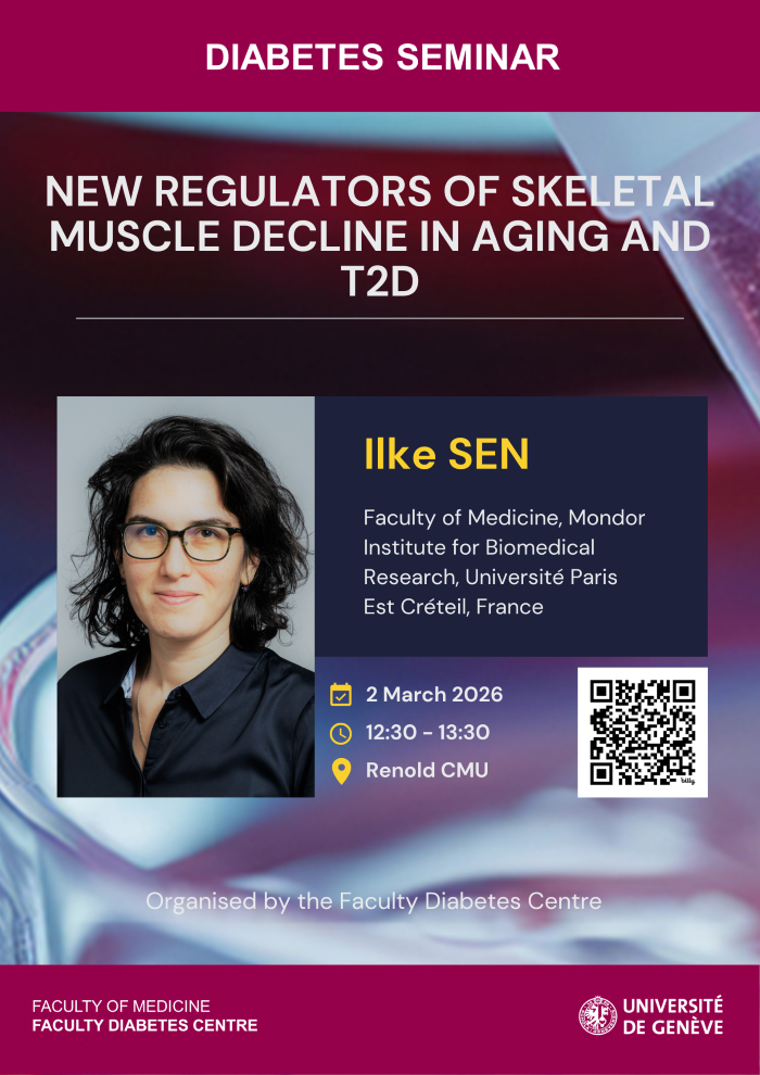 New regulators of skeletal muscle decline in aging and T2D