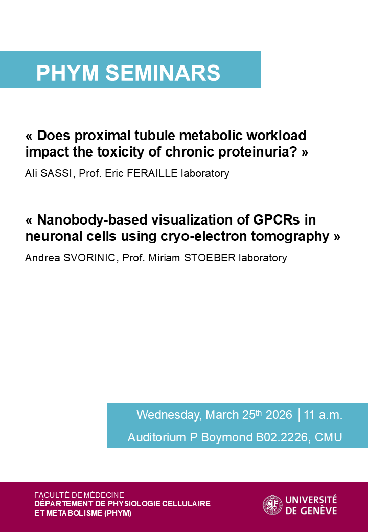 "Does proximal tubule metabolic workload impact the toxicity of chronic proteinuria?" & "Nanobody-based visualization of GPCRs in neuronal cells using cryo-electron tomography"