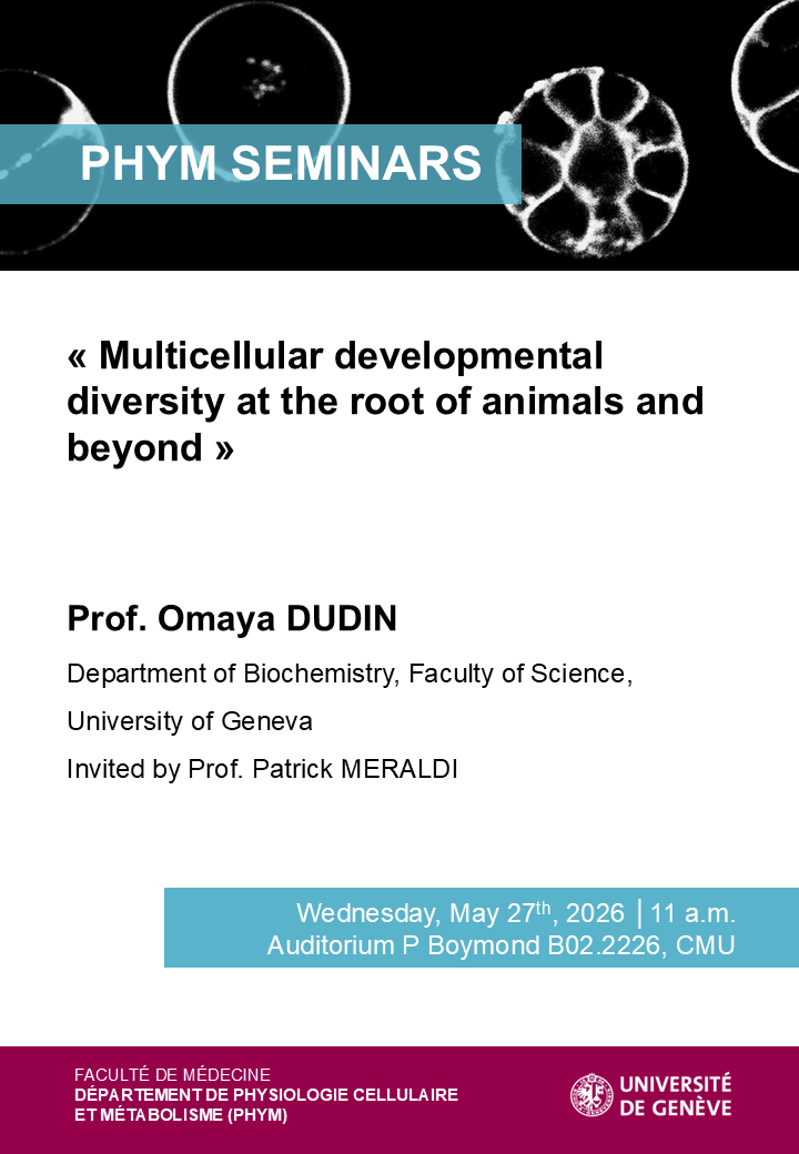 "Multicellular developmental diversity at the root of animals and beyond"