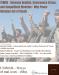 YEMEN - Between Houthis, Governance Crisis, and Geopolitical Rivalries : Why Peace Remains Out of Reach 