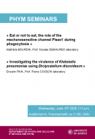 "Eat or not to eat, the role of the mechanosensitive channel Piezo1 during phagocytosis" & "Investigating the virulence of Klebsiella pneumoniae using Dictyostelium discoideum"